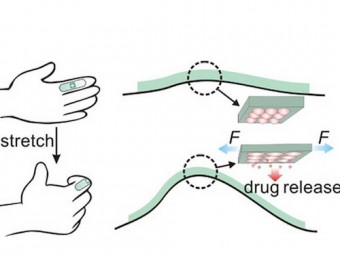 Новая технология доставки лекарств: пластырь, активирующийся при растяжении